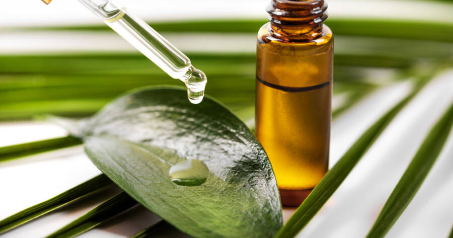 Essential Oils 101: Uses, Benefits, and How to Start