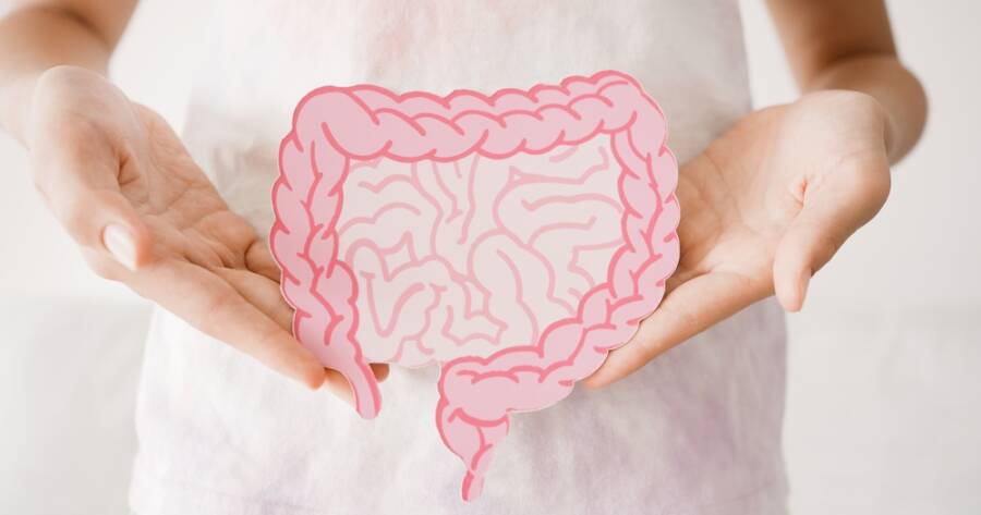 Gut Health Goes Mainstream: Are Postbiotics the New Probiotics?
